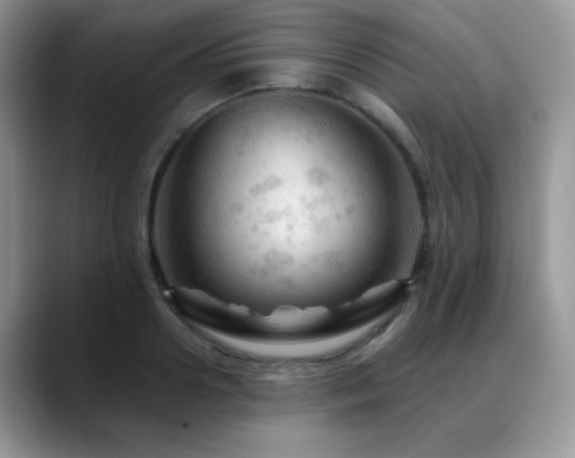 X0000088860938200706081150