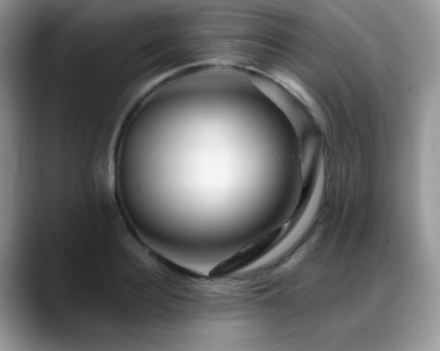 X0000088860940200706081150