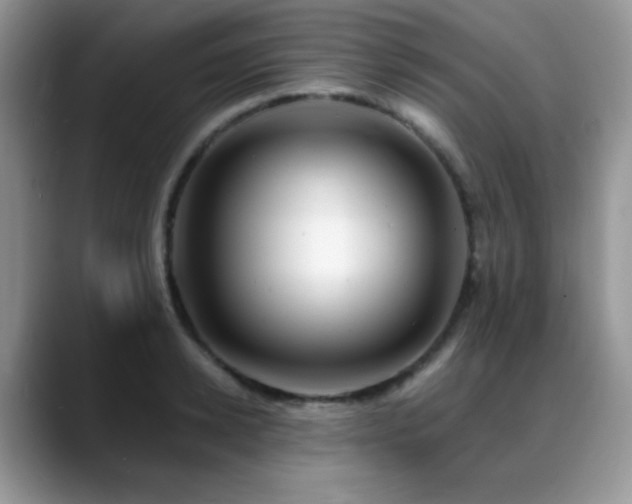 X0000088860942200706081150