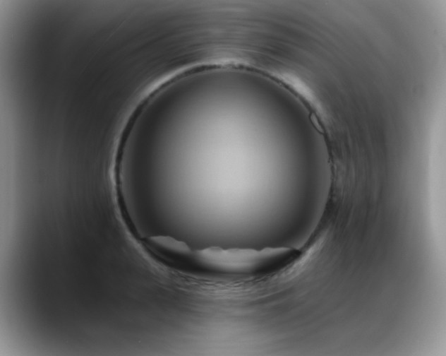 X0000088860943200706081150