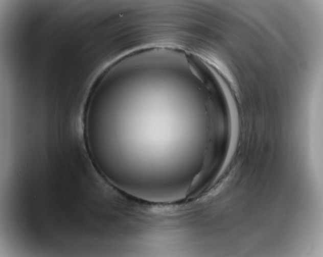 X0000088860944200706081150