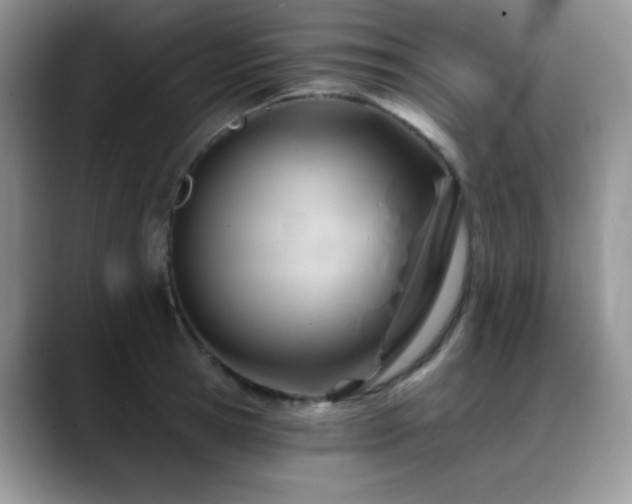 X0000088860945200706081150