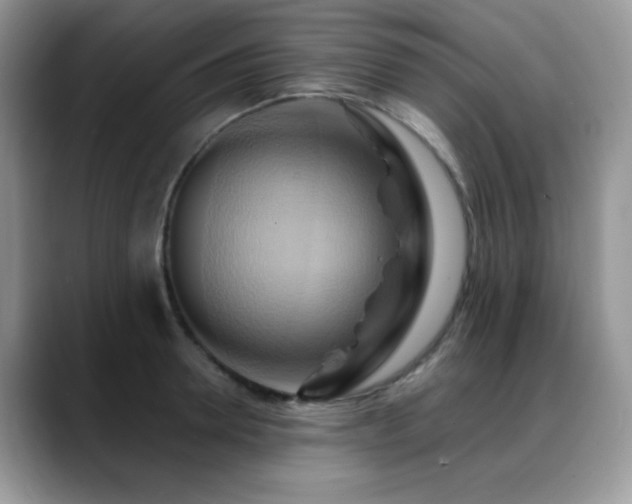 X0000088860946200706081150