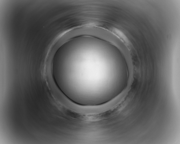 X0000088860948200706081150