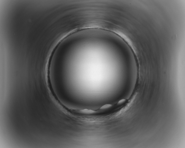 X0000088860949200706081150