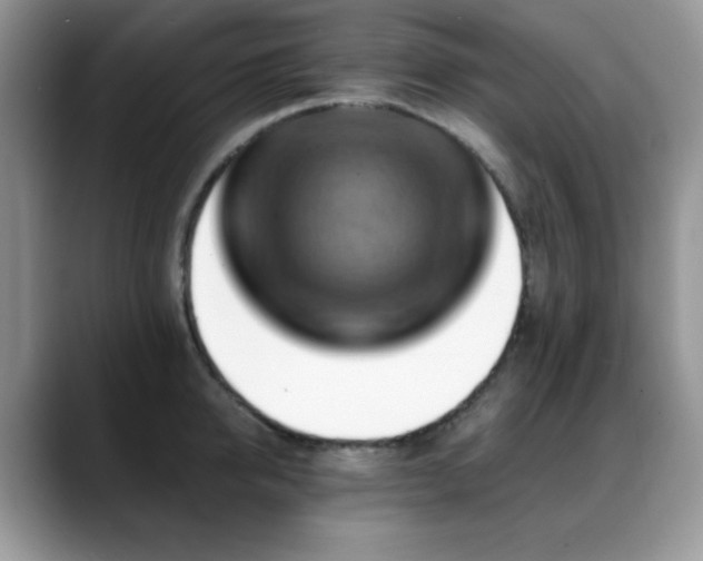 X0000088860950200706081150