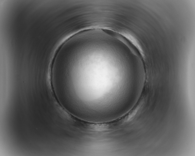 X0000088860952200706081150