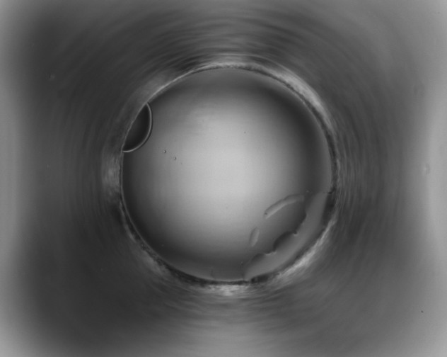 X0000088860953200706081150