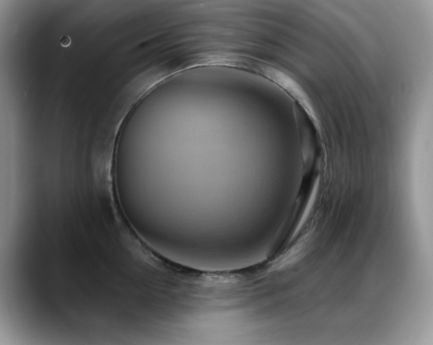 X0000088860954200706081150