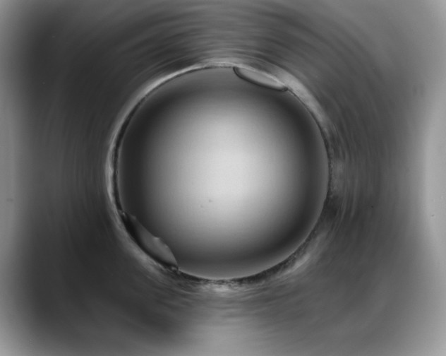 X0000088860955200706081150