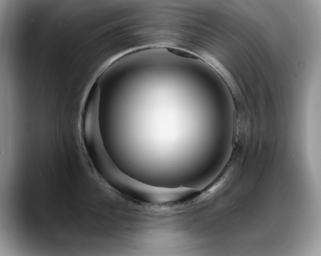 X0000088860956200706081150