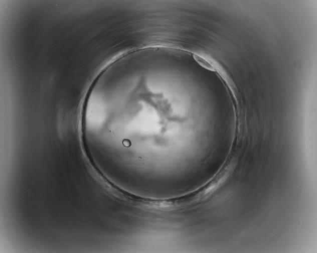 X0000088860957200706081150