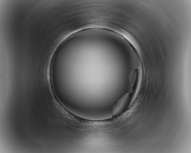 X0000088860958200706081150