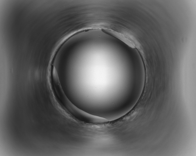 X0000088860960200706081150