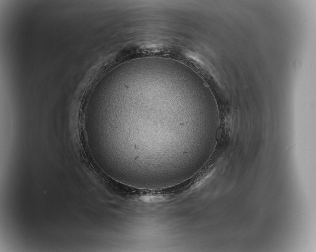 X0000088860961200706081150