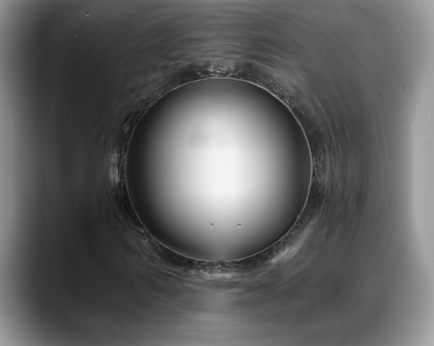 X0000088860962200706081150