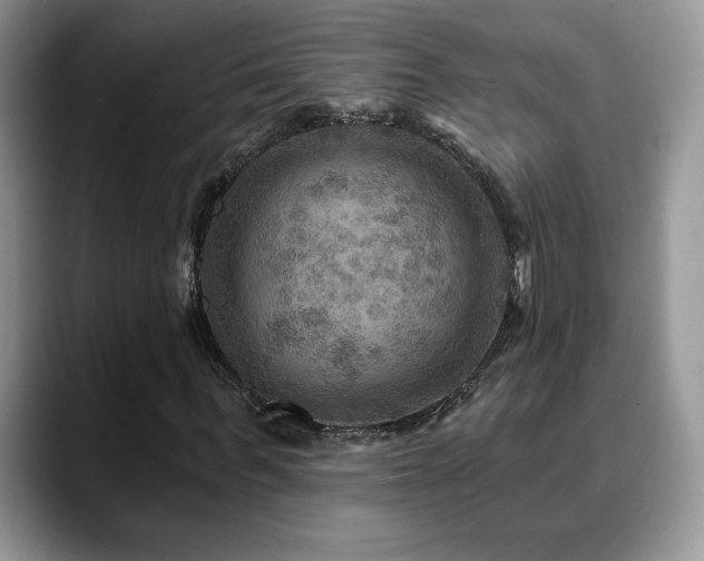 X0000088860963200706081150