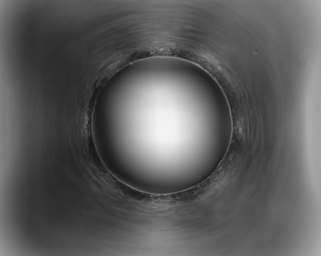 X0000088860964200706081150