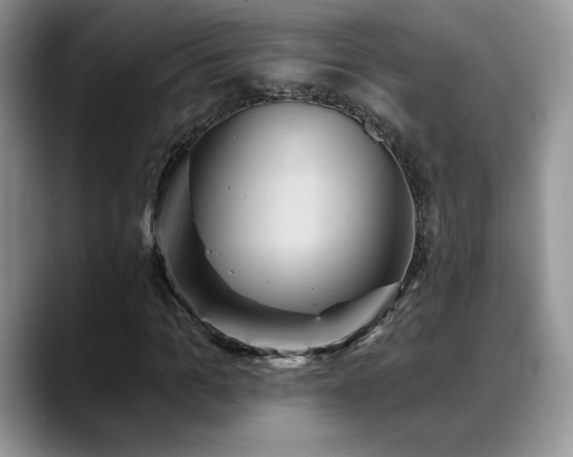 X0000088860965200706081150