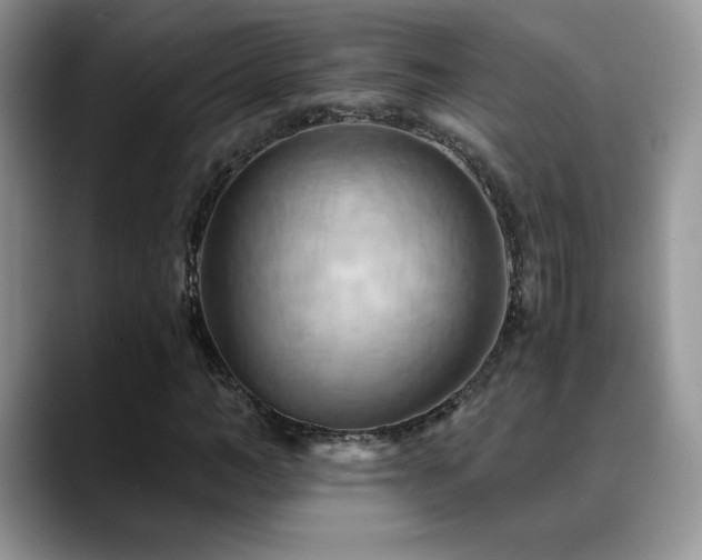 X0000088860966200706081150