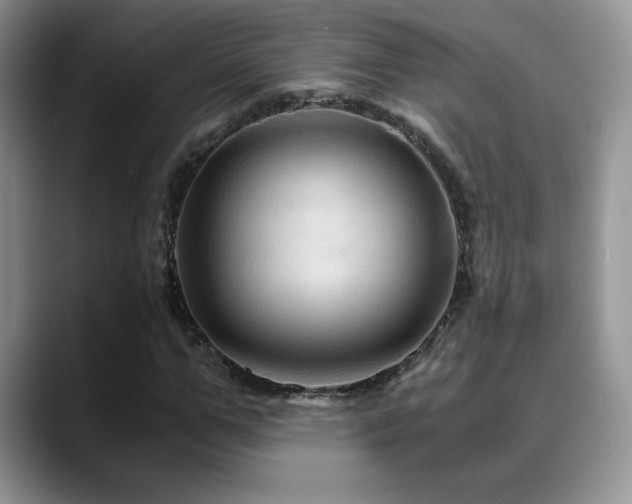 X0000088860967200706081150