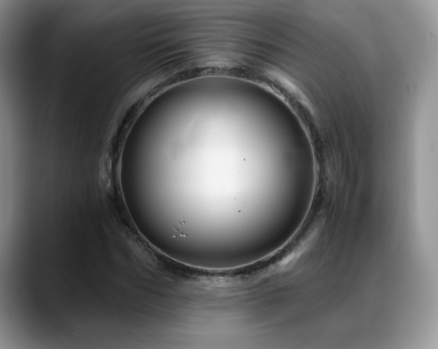 X0000088860970200706081150