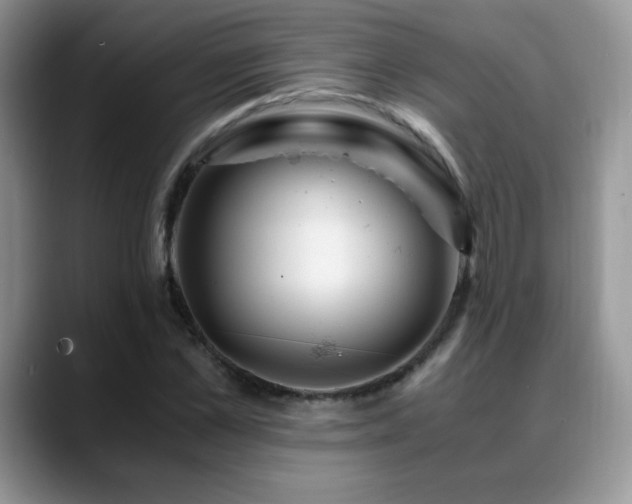 X0000088860973200706081150