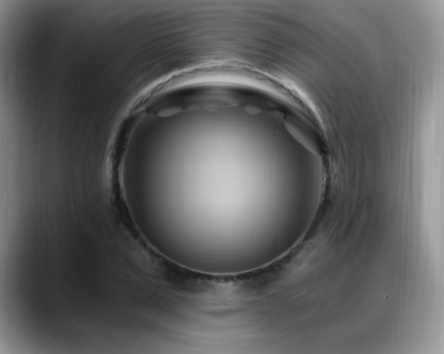 X0000088860975200706081150