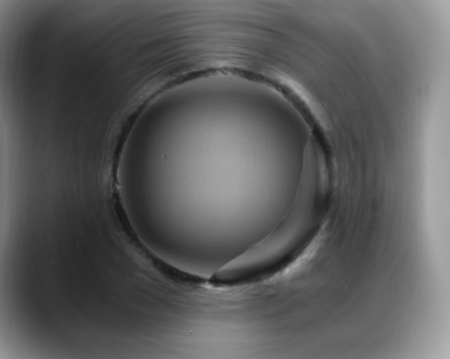 X0000088860977200706081150