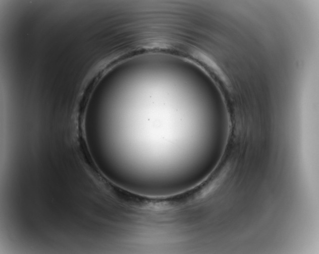 X0000088860978200706081150