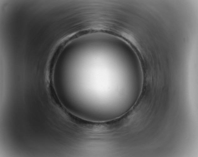 X0000088860979200706081150