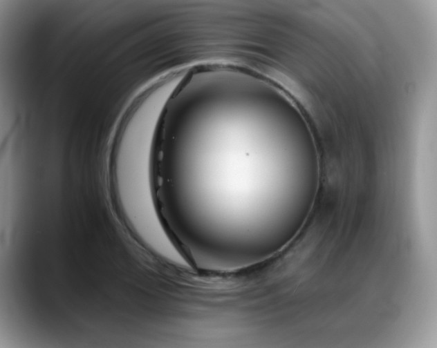 X0000088860980200706081150