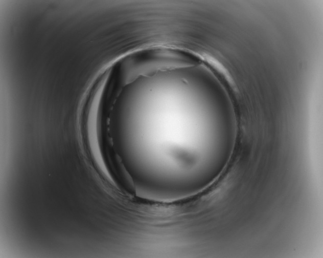 X0000088860981200706081150