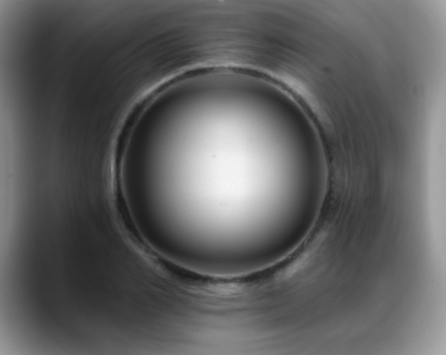 X0000088860982200706081150
