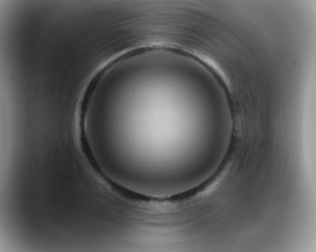 X0000088860983200706081150