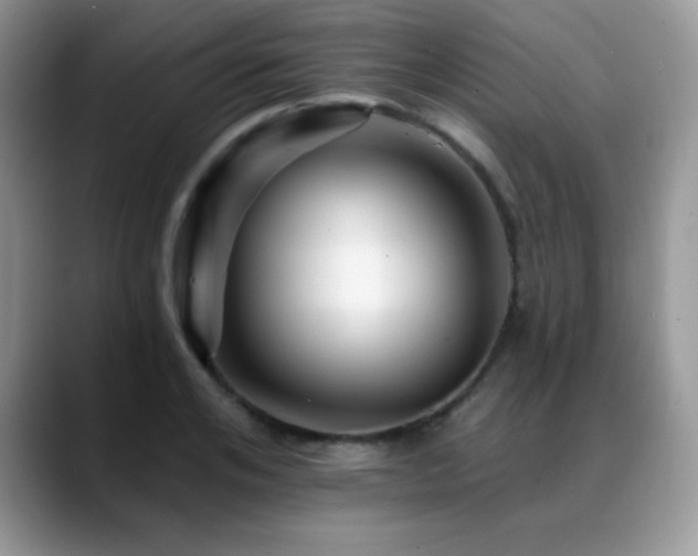 X0000088860984200706081150