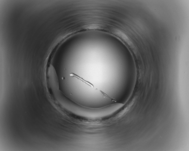 X0000088860986200706081150