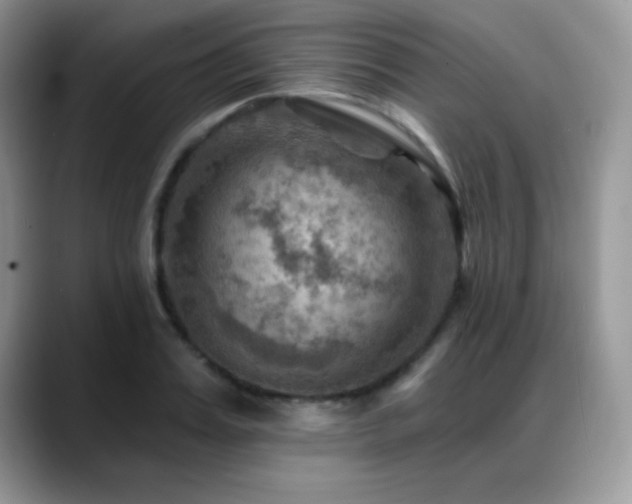 X0000088860987200706081150