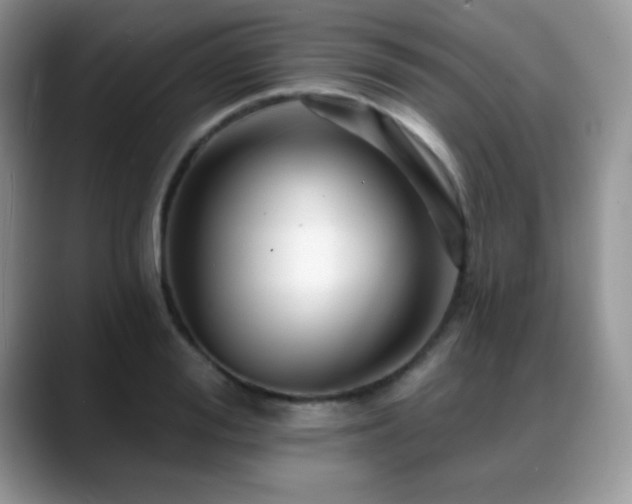 X0000088860988200706081150