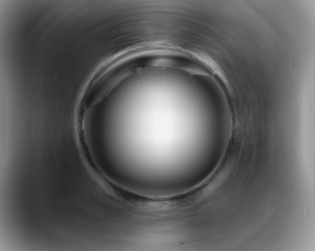 X0000088860989200706081149
