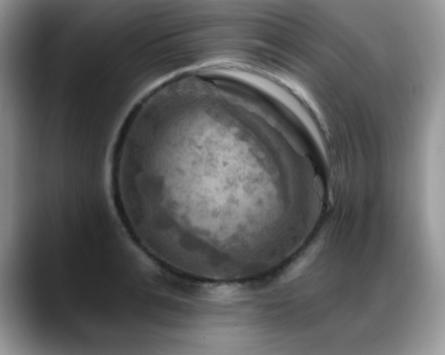 X0000088860991200706081149