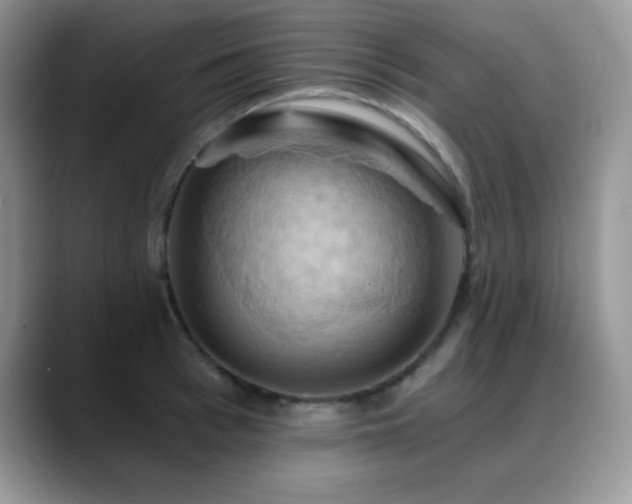 X0000088860993200706081149