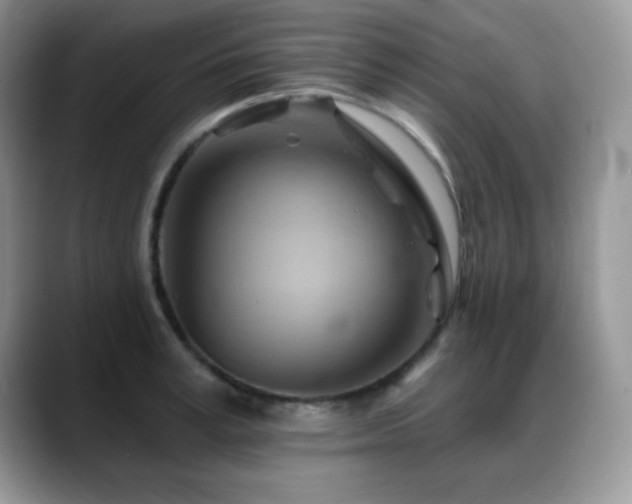 X0000088860995200706081149