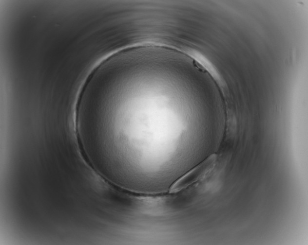 X0000088860996200706081149