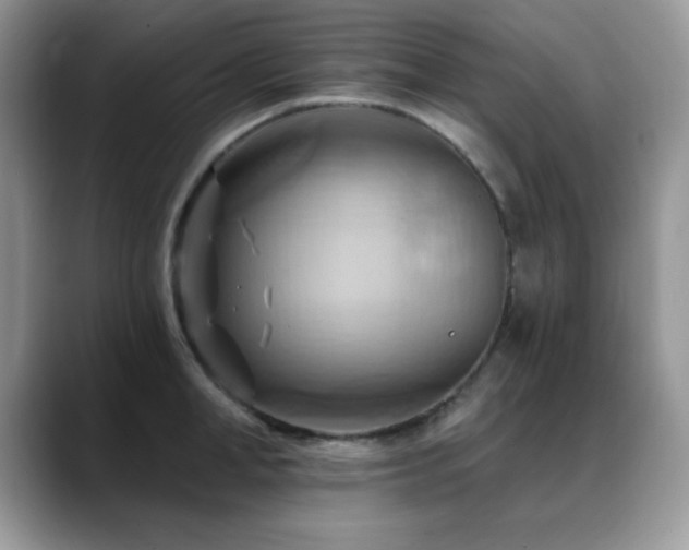 X0000088860998200706081149