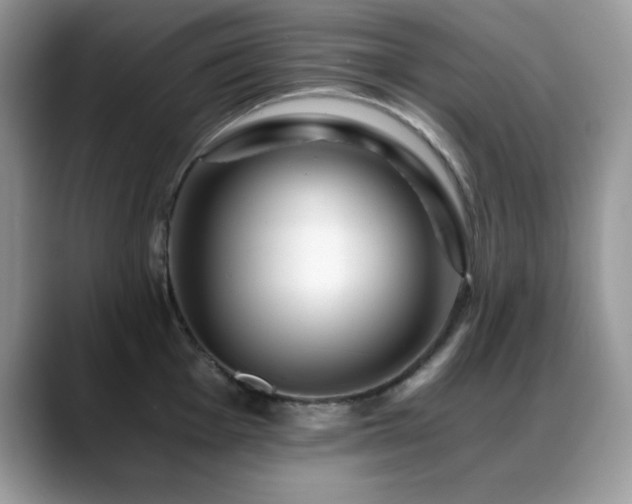 X0000088861001200706081149