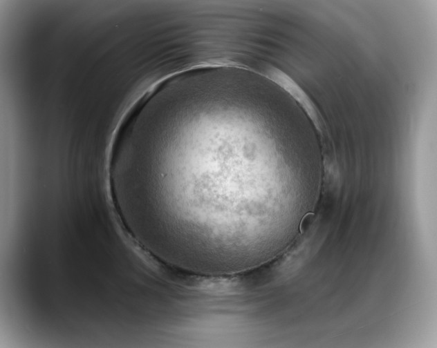 X0000088861002200706081149