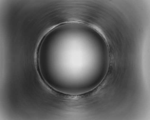 X0000088861003200706081149
