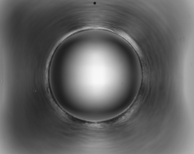 X0000088861004200706081149