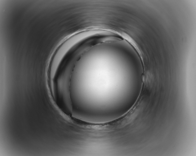 X0000088861005200706081149